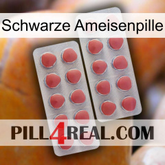 Black Ant Pill 19